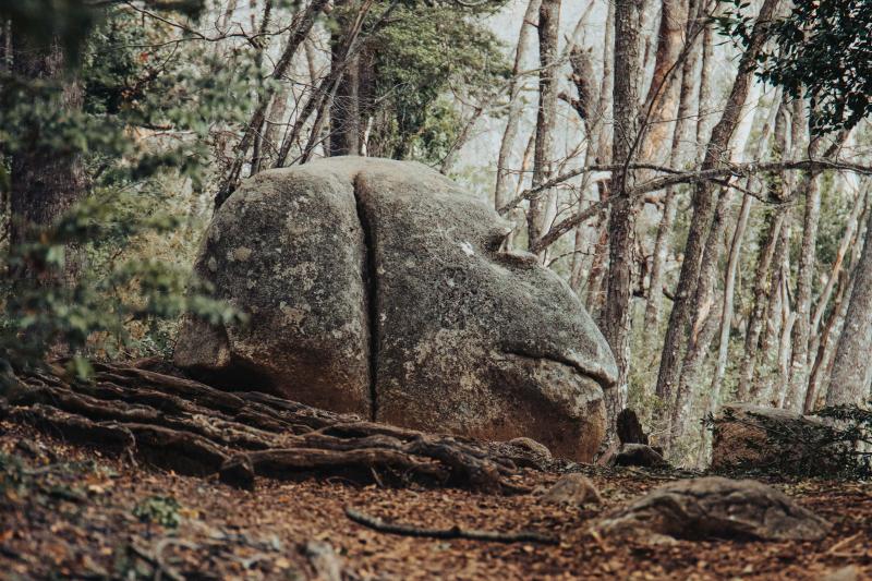 Piedra del Mono en Invierno