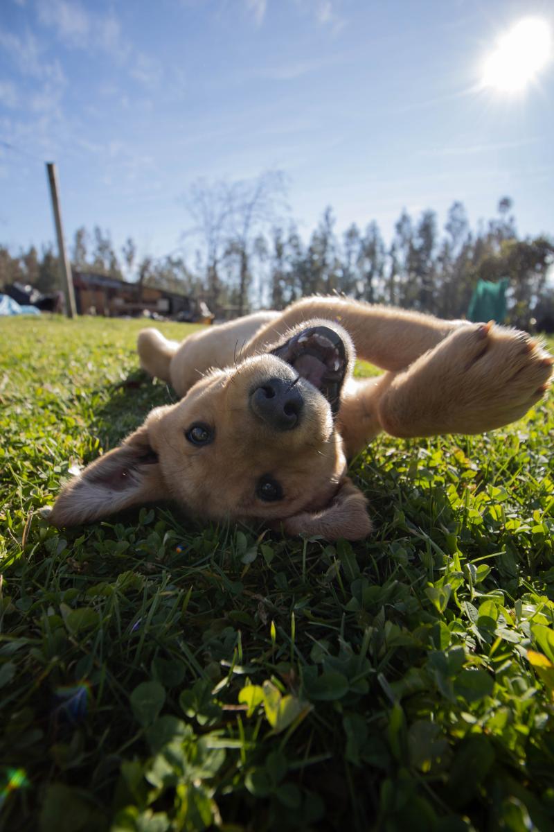 Expresando la felicidad 