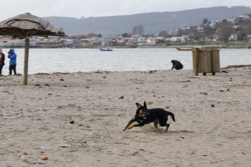 Jugando en la Playa