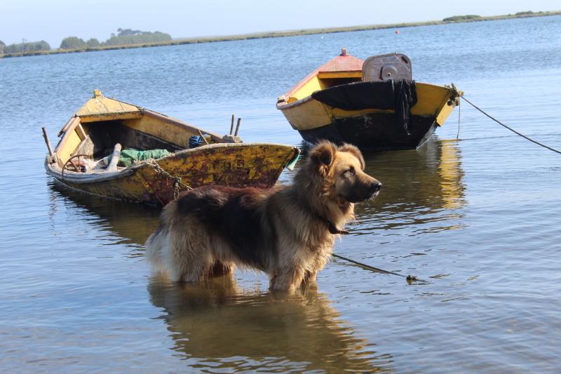 Quietud marina