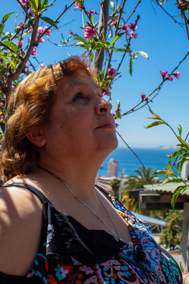 Tarde de primavera