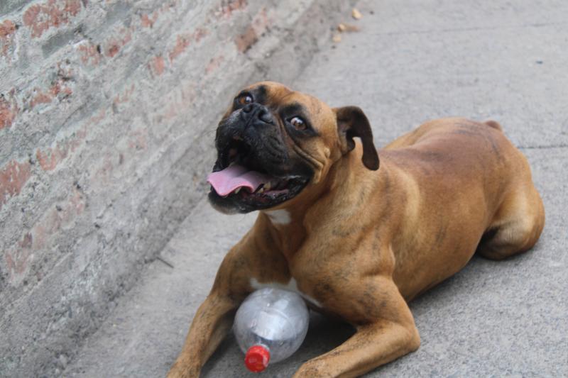 Bauti Sonriente.