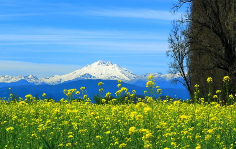 El Nevado Primaveral
